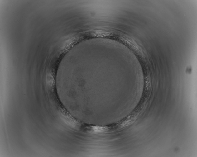 X0000096680371200802261522