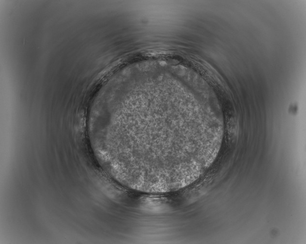 X0000096680372200802261522