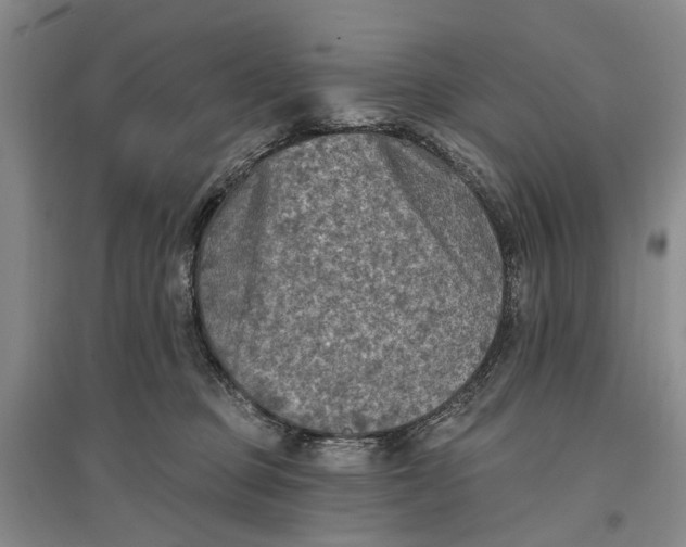 X0000096680373200802261522