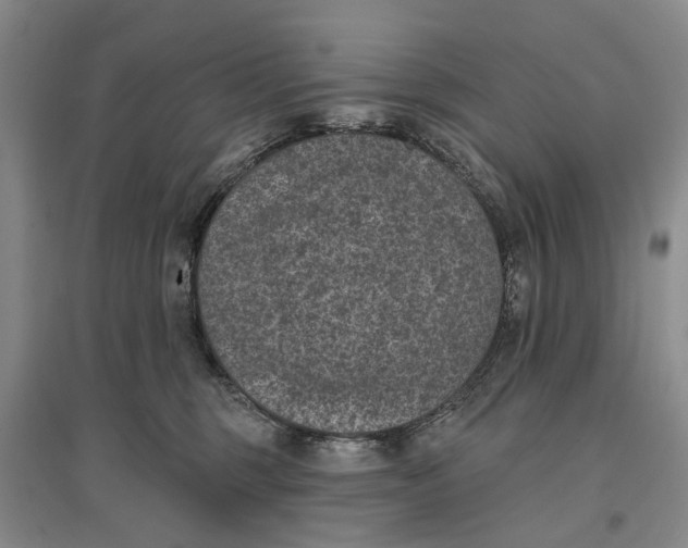 X0000096680375200802261522