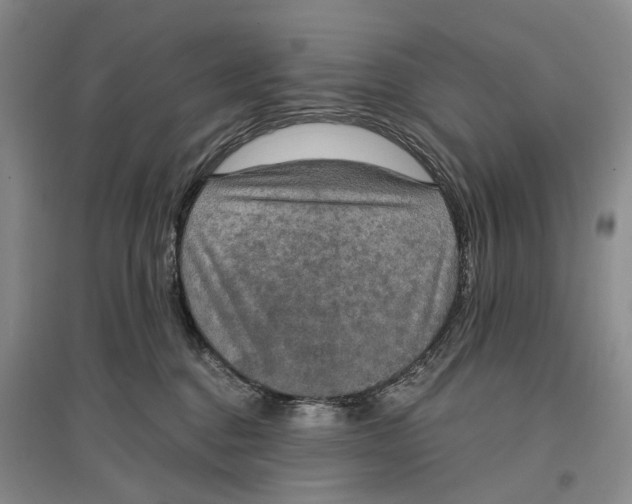 X0000096680376200802261522