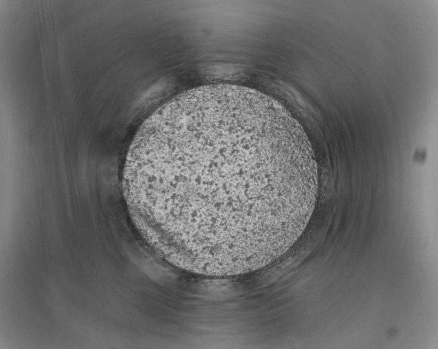 X0000096680377200802261522