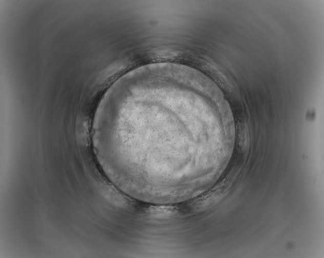 X0000096680378200802261522