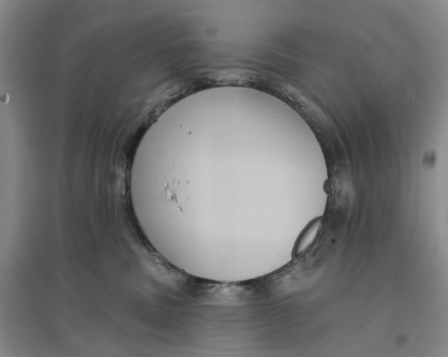 X0000096680379200802261522