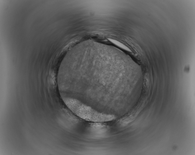 X0000096680380200802261522