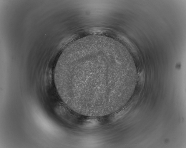 X0000096680381200802261522