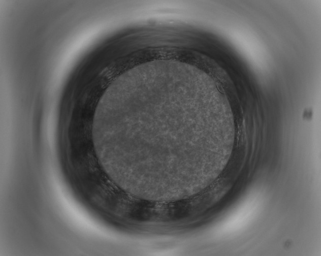 X0000096680383200802261522