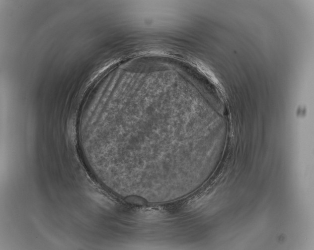 X0000096680386200802261521