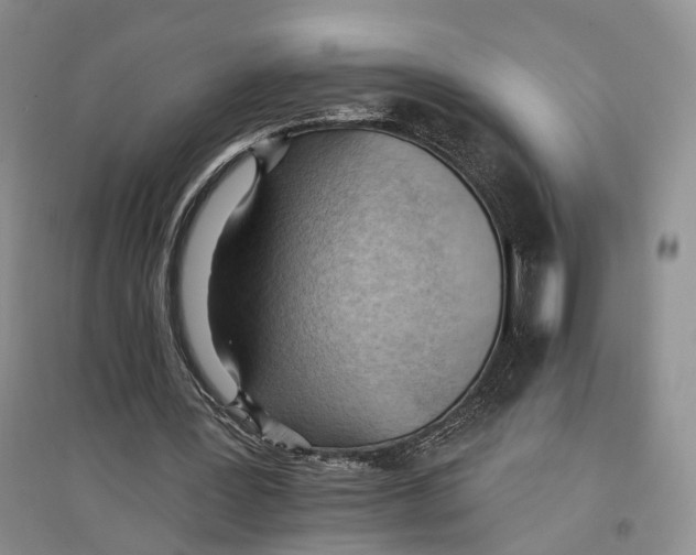 X0000096680387200802261521