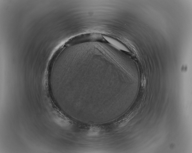 X0000096680388200802261521