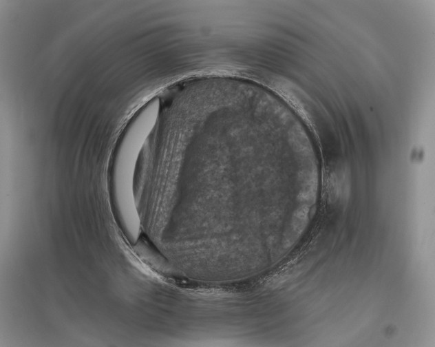 X0000096680389200802261521