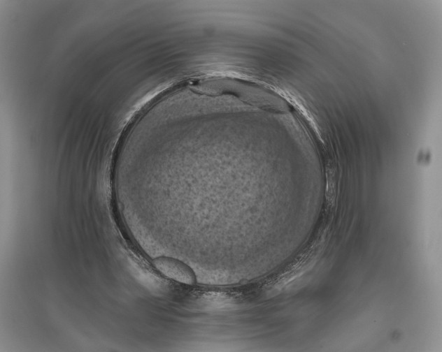 X0000096680390200802261521