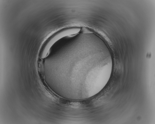 X0000096680391200802261521