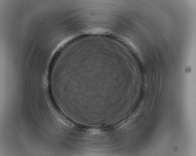 X0000096680392200802261521