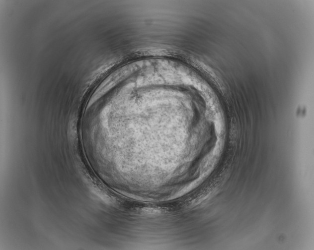 X0000096680394200802261521