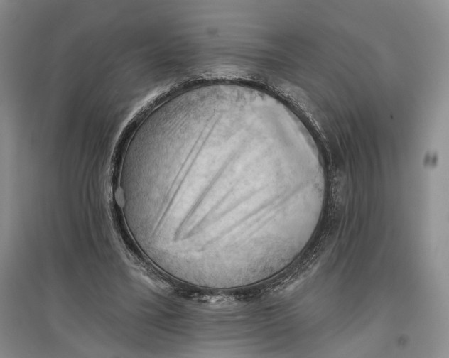 X0000096680395200802261521