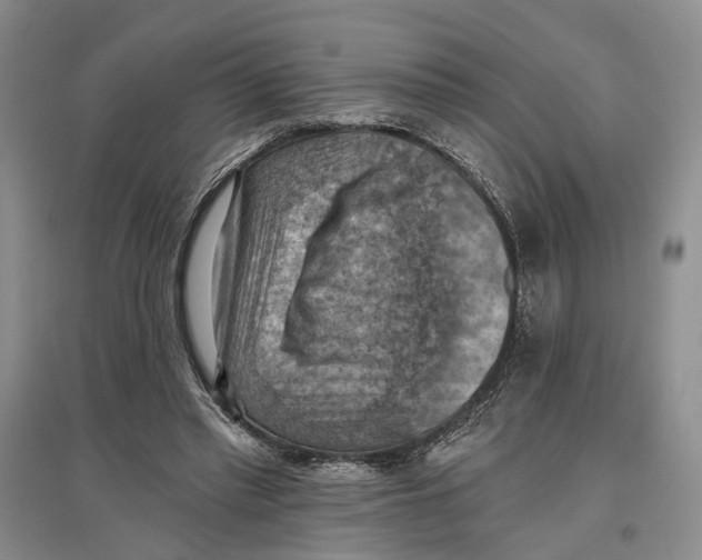 X0000096680397200802261521