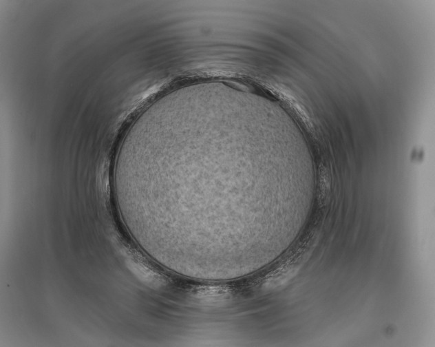 X0000096680398200802261521