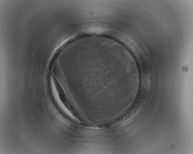 X0000096680399200802261521