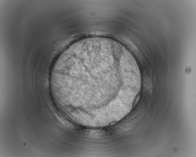 X0000096680401200802261521