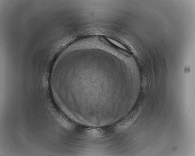 X0000096680402200802261521