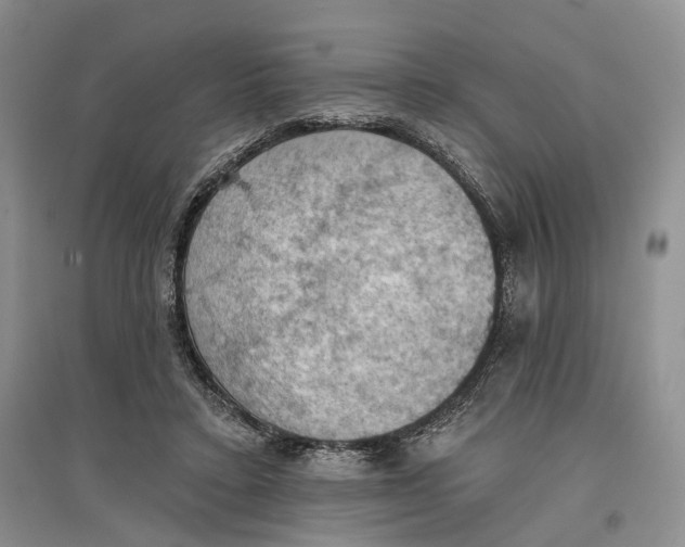 X0000096680403200802261521