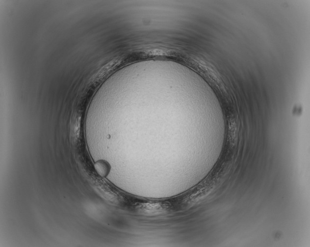 X0000096680406200802261521