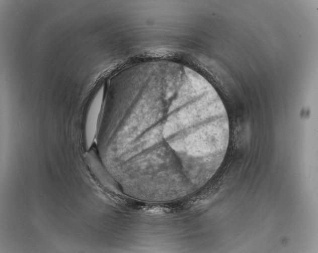 X0000096680407200802261521