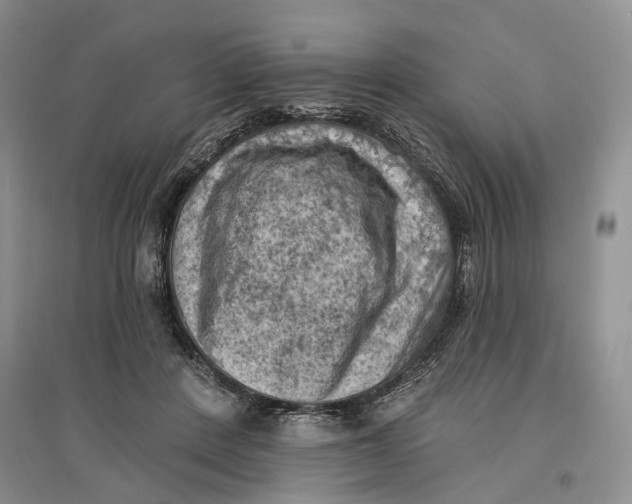 X0000096680408200802261521