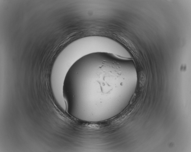 X0000096680409200802261521