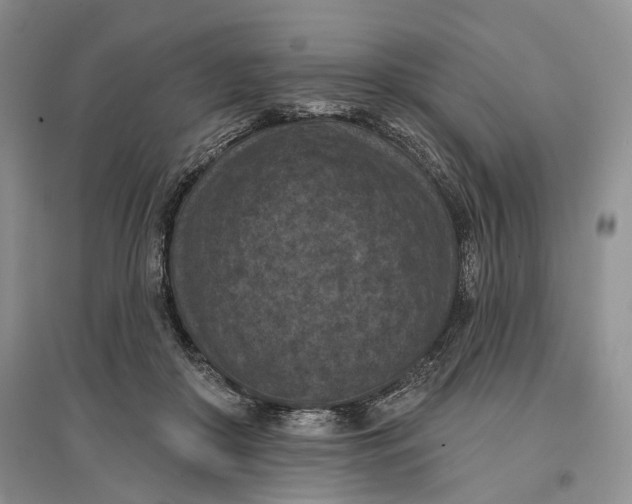 X0000096680410200802261521