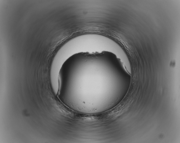 X0000096680411200802261521