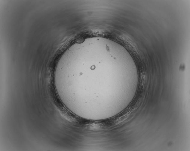 X0000096680412200802261521