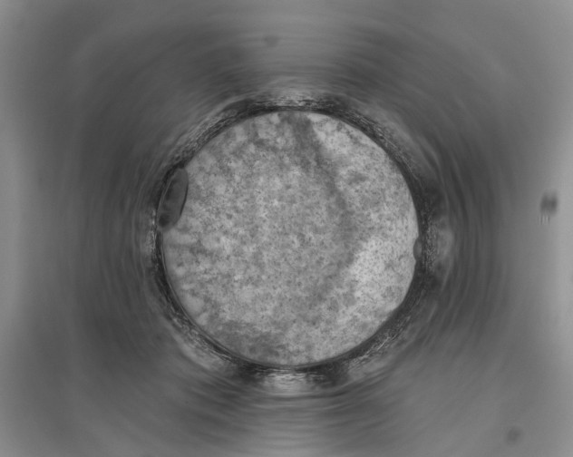 X0000096680413200802261521