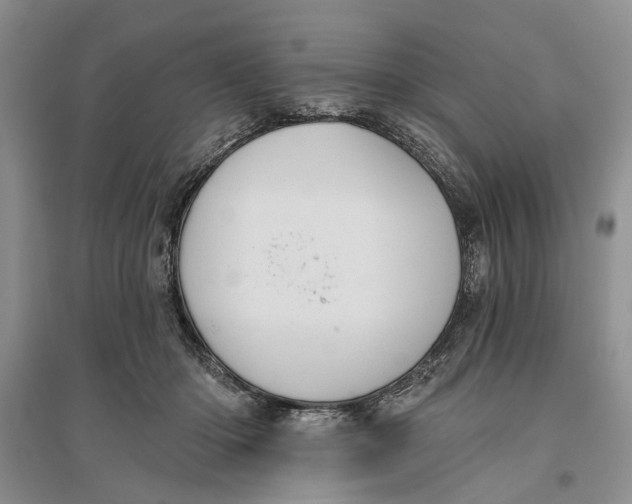 X0000096680414200802261521