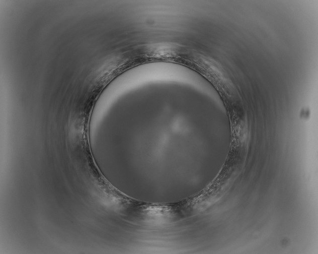 X0000096680415200802261521