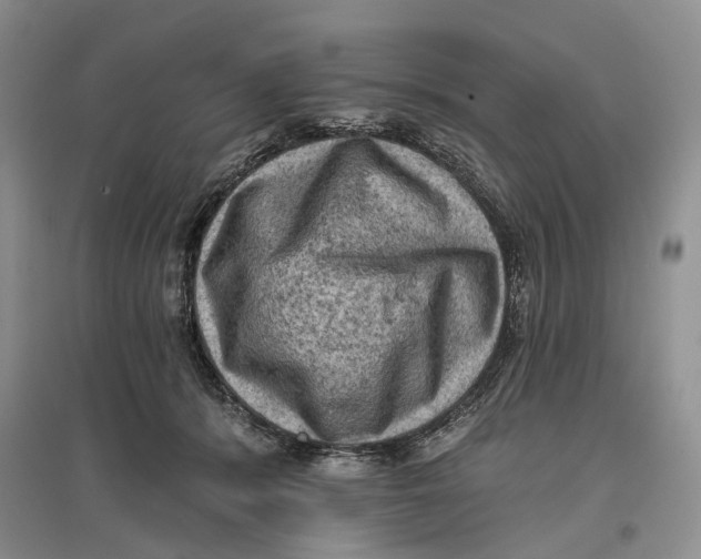 X0000096680416200802261521