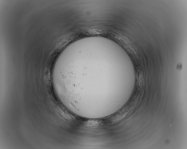 X0000096680418200802261521