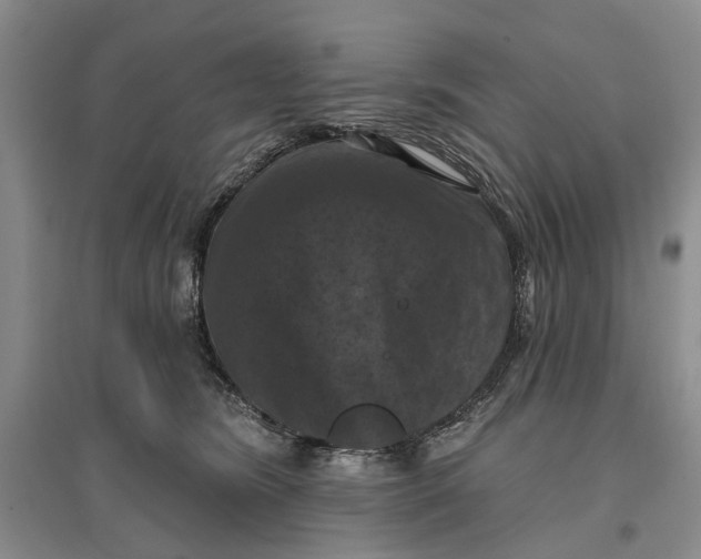 X0000096680420200802261521