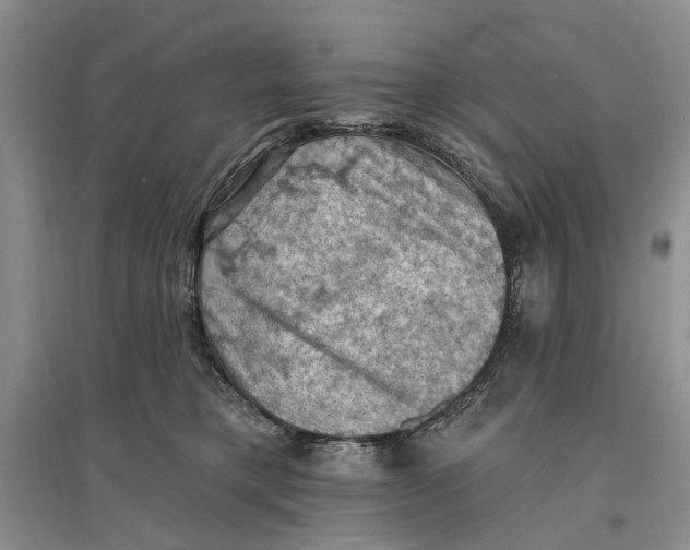 X0000096680421200802261521