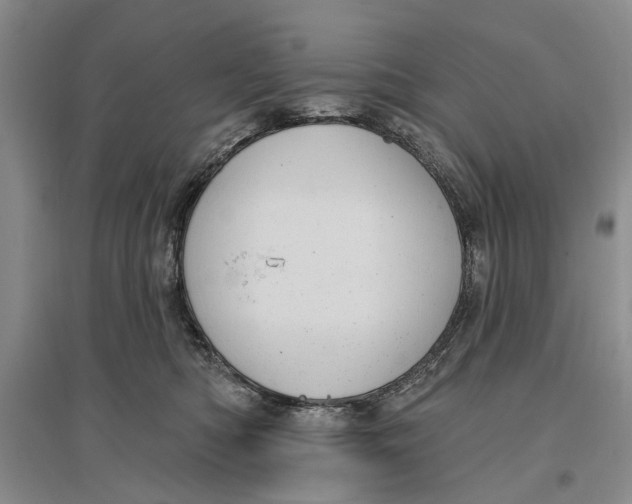 X0000096680422200802261521