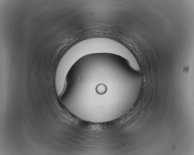 X0000096680423200802261521