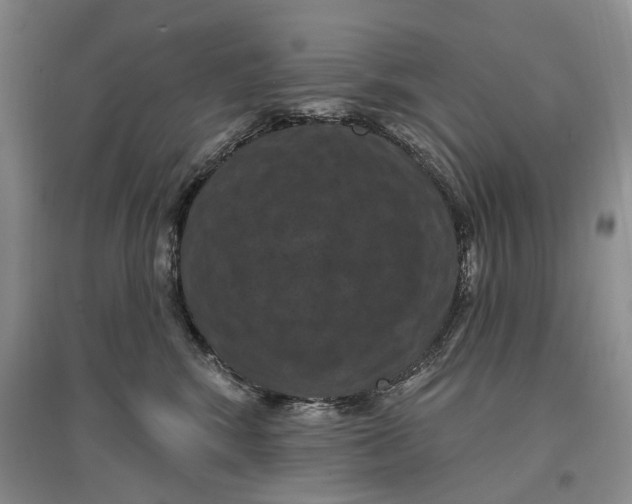 X0000096680424200802261521