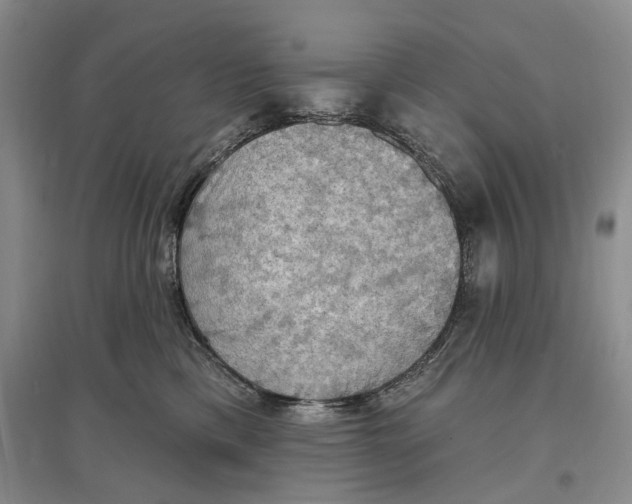 X0000096680425200802261521