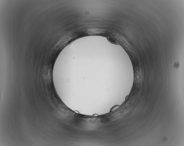 X0000096680426200802261521