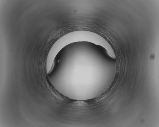 X0000096680427200802261521