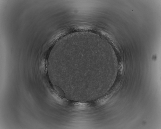 X0000096680428200802261520