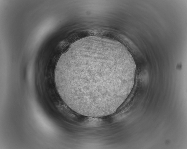 X0000096680429200802261520