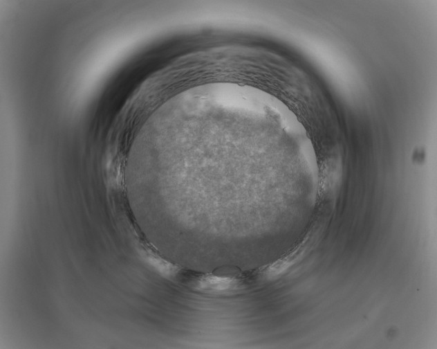 X0000096680431200802261520