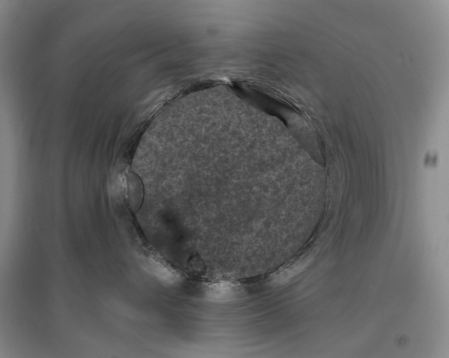 X0000096680432200802261520